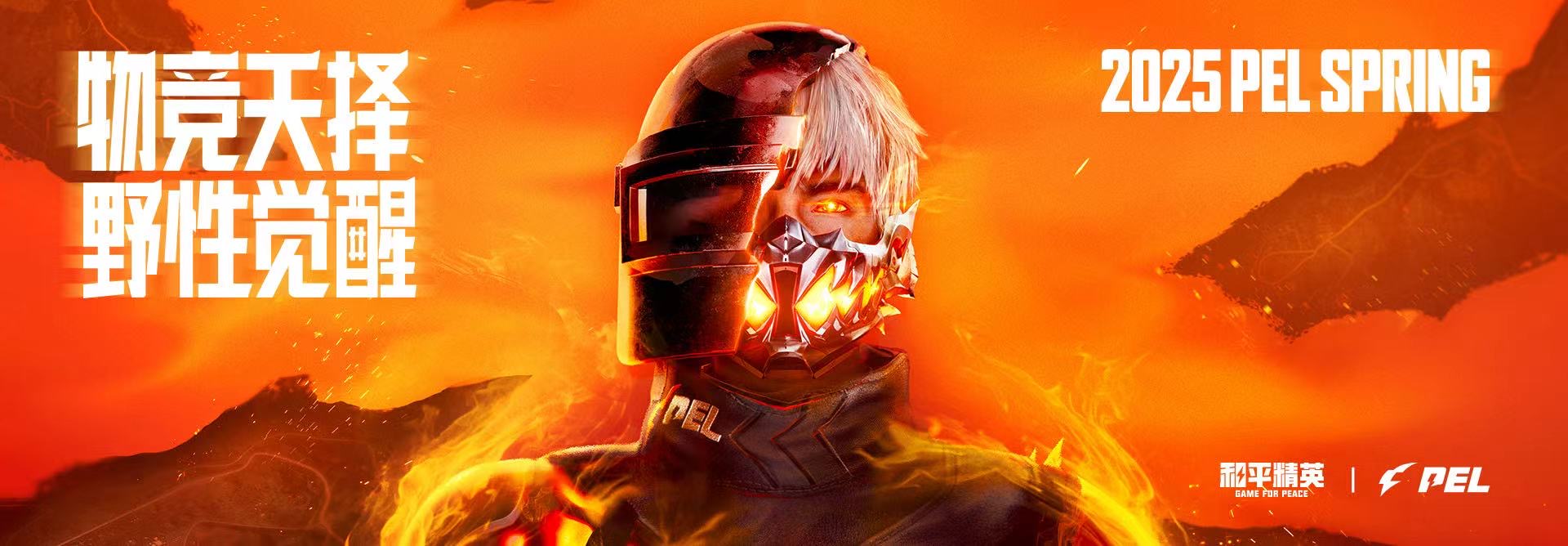 和平精英辅助【内部G简洁版】