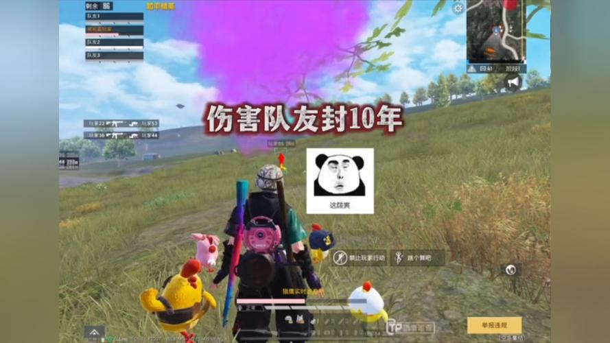 和平精英ios《HS》辅助上分如喝水